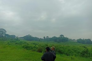 Galeri PT. Jaya Survey Indonesia (15)