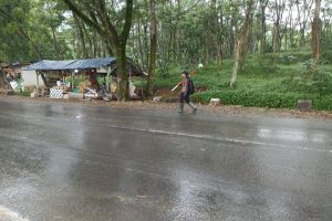 Galeri PT. Jaya Survey Indonesia (16)